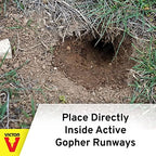 Victor 0626 Black Box Gopher Trap - Gopher Traps - Gopher Trap