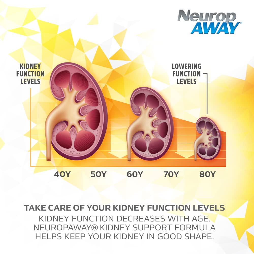 NeuropAWAY Kidney Support Formula Sugar Free with Agmatine Sulfate 500mg L-Novaline 50mg L-Ornithine 150mg L-Citrulline 100mg Per Capsule 90CT Fast Acting Kidney Support