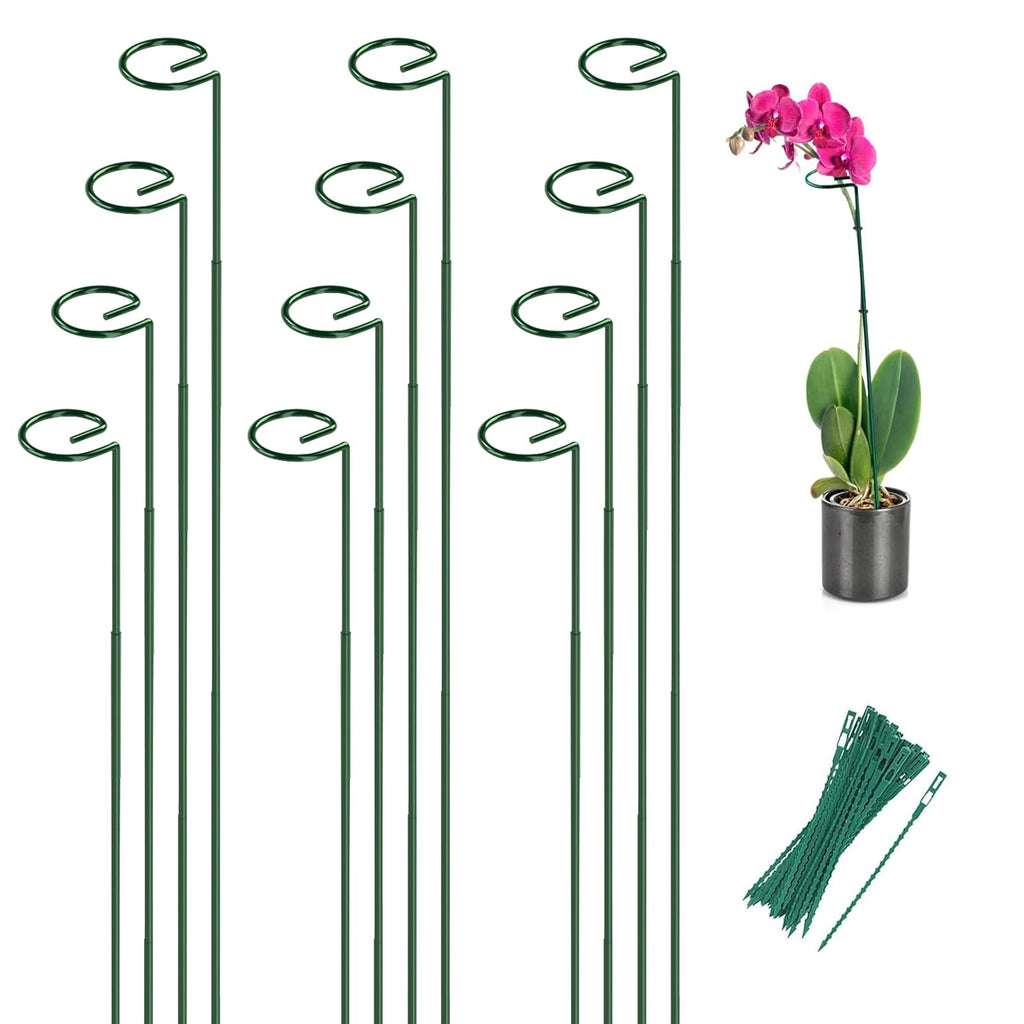 12 Pack 36 Inch Plant Support Stakes for Outdoor Plants and Indoor Flowers