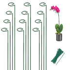 12 Pack 36 Inch Plant Support Stakes for Outdoor Plants and Indoor Flowers