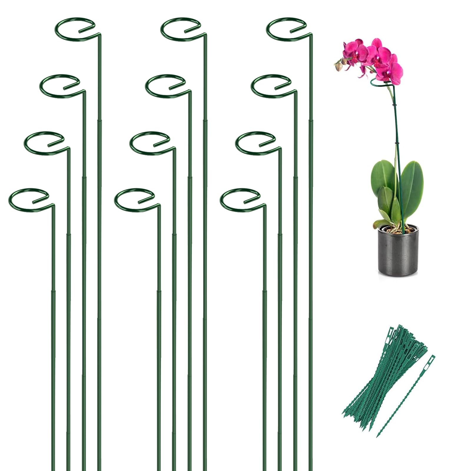 12 Pack 36 Inch Plant Support Stakes for Outdoor Plants and Indoor Flowers