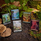 Magic: The Gathering Bloomburrow Bundle - 9 Play Boosters, 30 Land Cards + Exclusive Accessories