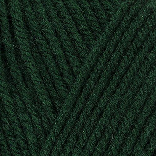 Red Heart Super Saver Hunter Green E300-389 (3-Skeins - Same Dye Lot) Worsted Medium #4 Acrylic Yarn for Crocheting and Knitting with Project Bag