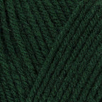 Red Heart Super Saver Hunter Green E300-389 (3-Skeins - Same Dye Lot) Worsted Medium #4 Acrylic Yarn for Crocheting and Knitting with Project Bag