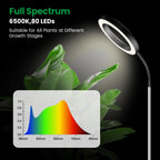 Garpsen Grow Lights for Indoor Plants, 6000K, Height Adjustable, Plug-in