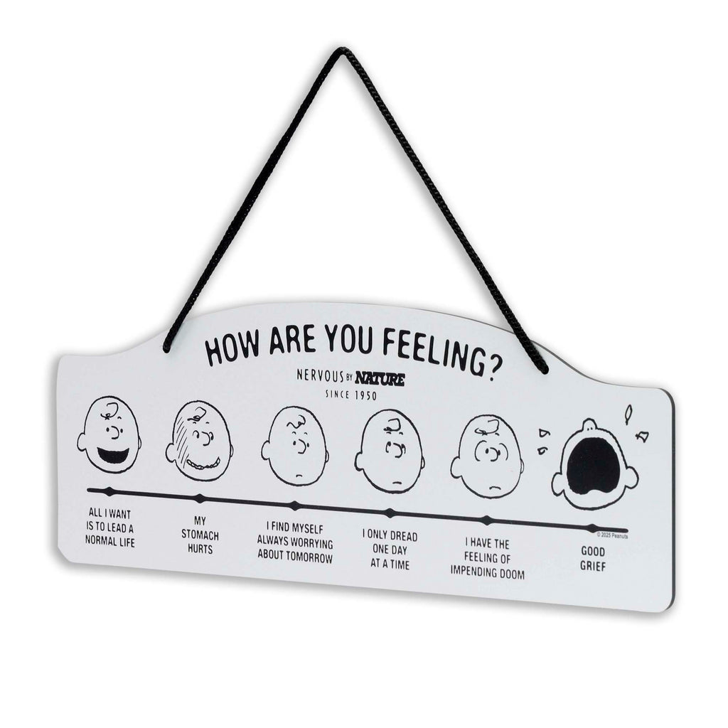 Peanuts How Are You Feeling Hanging Metal Sign