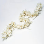 Taxidermy Real Fox Spine Decor - Model Animals Bones Specimen, Taxidermy Supplies for Science Education, Collection (Fox Spine)