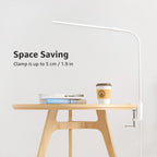Lepro Small Desk Lamp with Clamp, LED Reading Lamps with 450LM, 3 Color Modes 10 Brightness, Dimmable USB Clip on Desk Light with Gooseneck Swing Arm for Nail, Home Office and Dorm (White)