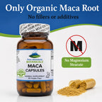 Pure Mountain Botanicals Maca Root Capsules - 1000mg Organic Peruvian Maca - Raw and Gelatinized Blend - 90 Vegan Kosher Caps