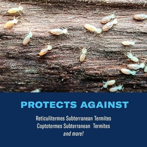BioAdvanced Termite Killer, Home Perimeter Treatment, Ready-to-Spread Granules, 9 Pounds