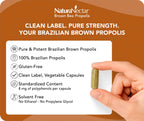 NaturaNectar - Brown Bee Propolis - NSF Contents Certified - Premium Brazilian Propolis - Gluten-Free Supplement with Flavonoids, FLAV-B and PWE - Naturally Sourced Through Ethical Beekeeping (60pcs.)