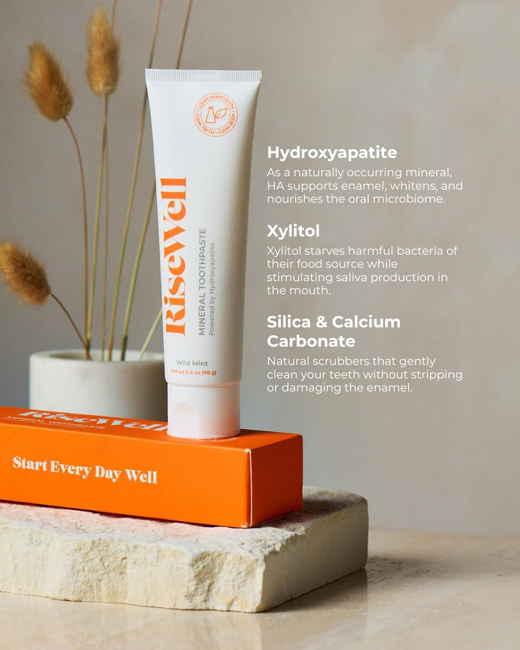 RiseWell Mineral Toothpaste - All Natural Toothpaste with Hydroxyapatite - Made in the USA, Natural SLS-Free Toothpastes - for a Stronger and Healthier Teeth, Wild Mint, 3.4 Oz