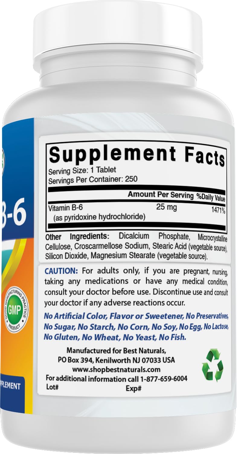 Best Naturals Vitamin B6 25mg 250 Tablets (250 Count (Pack of 2))