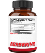 agobi Berberine Supplements 500mg with Gymnema Sylvestre - Super Concentrated Formula for Immune System, Circulation Health, Digestive & Energy Production - 90 Capsules