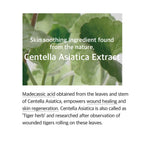 mixsoon Soondy Centella Asiatica Essence-Soothing, Calming and Hydrating for Face, Jeju Island Cica Extracts, Gentle Formula for Balanced, Healthy Skin 100ml / 3.38 fl.oz. Korean Glass Skin Care