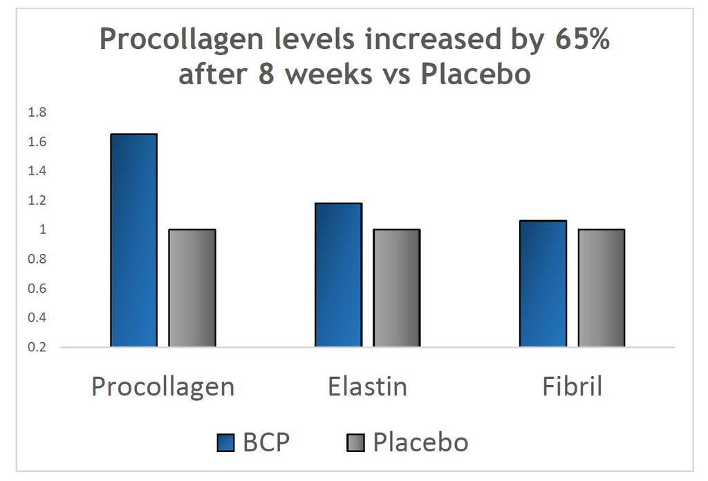 BESHA INC Verisol Collagen Bioactive Peptides (Natural Collagen Powder) Made in Germany - 2 Month Supply
