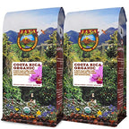 Java Planet Organic, Costa Rica Single Origin Dark Roast, Smooth Full Flavored Organic Coffee Beans, Low Acid, Whole Bean Coffee Two 1LB Bags