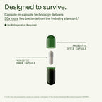 Seed DS-01 Daily Synbiotic - Prebiotic and Probiotic for Women & Men - Digestive Health, Gut Health, Immune Support, Bloating & Constipation Relief - Vegan & Shelf-Stable - 60 Capsules (30-Day Supply)