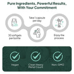 Organics Ocean Better D3 + K2-100% Organic VIT D3 and K2 Supplements with Maximum Bioavailability - Supports Bone Density, Calcium Balance, Immunity & Mood - 1-Pack, 30-Day Supply