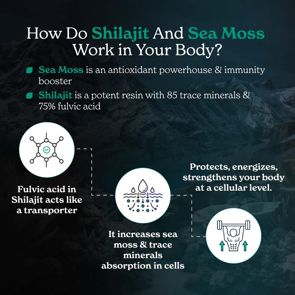 Better Alt Shilajit Sea Moss Capsules Pack of 2 with Ashwagandha & Black Pepper Extract with 85+ Essential Minerals & Antioxidants| Boosts Energy & Metabolism - 120 Servings, 240 Capsules