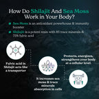 Better Alt Shilajit Sea Moss Capsules Pack of 2 with Ashwagandha & Black Pepper Extract with 85+ Essential Minerals & Antioxidants| Boosts Energy & Metabolism - 120 Servings, 240 Capsules