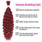 Human Braiding Hair 22inch Water Wave for Braiding Wet and Wavy Micro Braiding Human Hair No Weft Human Braiding Hair Extensions for Box Boho Braids 100g With 2Bundles（22inch,99J#)
