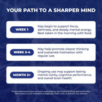 Vital Nootropic 12-in-1 Brain Supplement for Memory, Focus & Energy Support – L-Tyrosine, Bacopa, Rhodiola, Caffeine, B Vitamins – Cognitive Balance Capsules for Men & Women-30 Days Supply