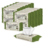Asswipes Flushable Wipes (Bulk, 1080 wipes) - Personal Cleansing Body, Butt and Bathroom Wipes with Aloe & Vitamin E - Made Without Alcohol or Parabens (Pack of 24)