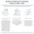 BodyHealth PerfectAmino Tablets (150ct Plus 30ct Travel Bottle), Essential Amino Acid with BCAAs + Lysine, Phenylalanine, Threonine, Methionine, Tryptophan, Supplement for Recovery & Strength
