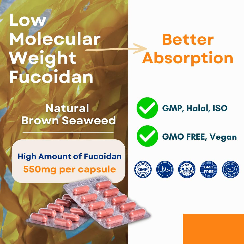 Oligo Fucoidan Capsules ONCOFUCO, Doctor Recommend, Extra Strength Immune and Adjunct Support Supplement, Seaweed Extract, High Purity, Vegetarian, Halal Certified, 2 Pack, 120 Veggie Capsules