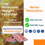 Oligo Fucoidan Capsules ONCOFUCO, Doctor Recommend, Extra Strength Immune and Adjunct Support Supplement, Seaweed Extract, High Purity, Vegetarian, Halal Certified, 2 Pack, 120 Veggie Capsules