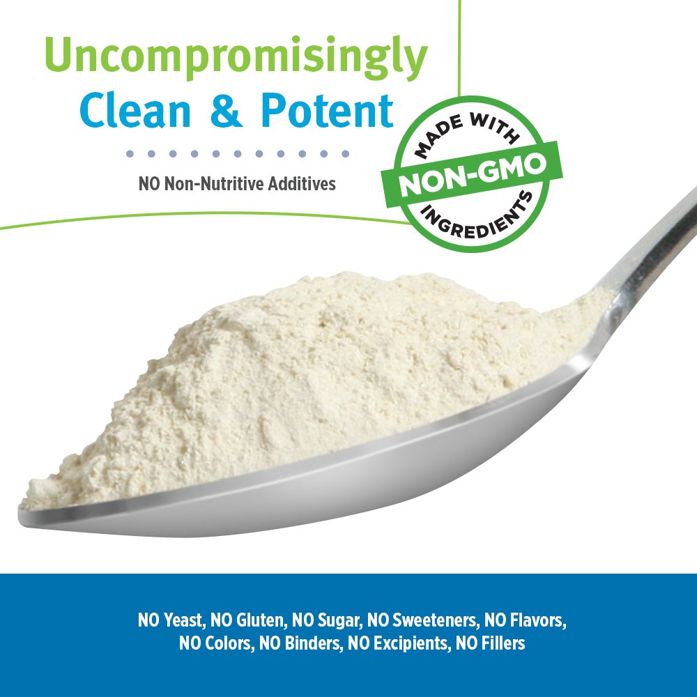 LifeTime Multiple Vitamin & Mineral Powder - Daily Multivitamin, Powdered Vitamins, Drink Mix for Women & Men, All in One Protein Smoothie Powder, 8g Protein - Original Formula, 2.2 lbs (66 Servings)