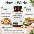 AMVILAB Proteolytic Enzymes | Trypsin & Chymotrypsin – Advanced Digestive Enzyme Supplement for Woman&Men - Digestive Enzymes for Protein Breakdown, Immune & Circulatory Health - 60 Capsules