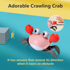 control future Baby Girl Toys Tummy Time: Pink Crawling Crab Babies Montessori Toy Learning 36 Months 3 Year Old Birthday Infant Girls Valentines Gifts Stuff 0 1 2 Essentials