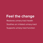 Vibrant Health, U.T. Vibrance Powder, Crisis Intervention for Urinary Tract Health, 10 Servings