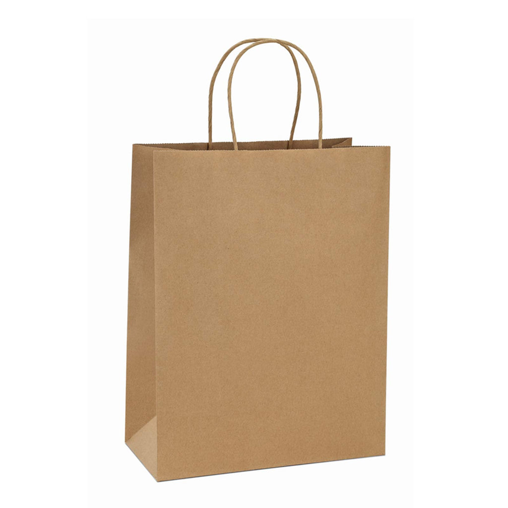 BagDream Kraft Paper Bags with Handles 10x5x13 Inch Brown 100 Pack Bulk