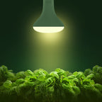 Briignite 4 Pack LED Grow Light Bulb, BR30 Grow Light Bulbs, Full Spectrum