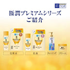 Hada Labo Gokujun Premium Hyaluronic Acid Refill Beauty Essence 170mL