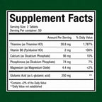 Fitina Brain Supplements for Memory and Focus with Vitamin B6 & Thiamine — High-Dose B Vitamins Nervous System and Cognitive Health Support, Daily Supplement Formula for Adults, 100 Tablets (2-Pack)