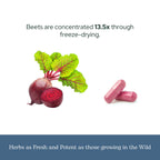 Eclectic Herb - Organic Beet Juice Capsules | Natural Herbal Supplement | Premium Cardiovascular Health & Circulation Support | Freeze-Dried, Vegan, Non-GMO, Gluten Free (90 CT | 440 mg)