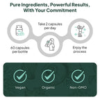 Organics Ocean Better Calcium - Organic Red Algae Calcium with Vitamin D3 and K2 Supplements - Supports Bone Structure, Joint Comfort & Encourages Healthy Aging - Plant-Based, Non-GMO - 1 Pack