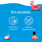 Poolife Back to Blue Algae Pool Shock System - Rapid Green to Clean Recovery Kit Kills Algae & Restores Crystal Water Clarity in 24 Hours - High Potency Cal Hypo & Flocculant for Pool - 4.6lb