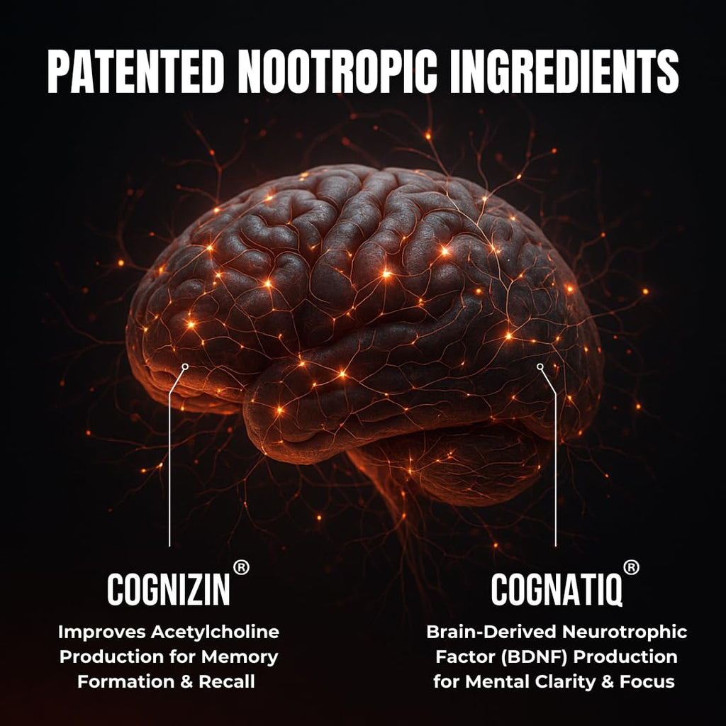 Advanced Focus Supplement Nootropic Brain Supplements for Memory and Focus | Lion's Mane, Caffeine, L-Theanine, and 5 Additional Natural Ingredients to Improve Cognitive Health & Energy (90 Capsules)