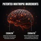 Advanced Focus Supplement Nootropic Brain Supplements for Memory and Focus | Lion's Mane, Caffeine, L-Theanine, and 5 Additional Natural Ingredients to Improve Cognitive Health & Energy (90 Capsules)