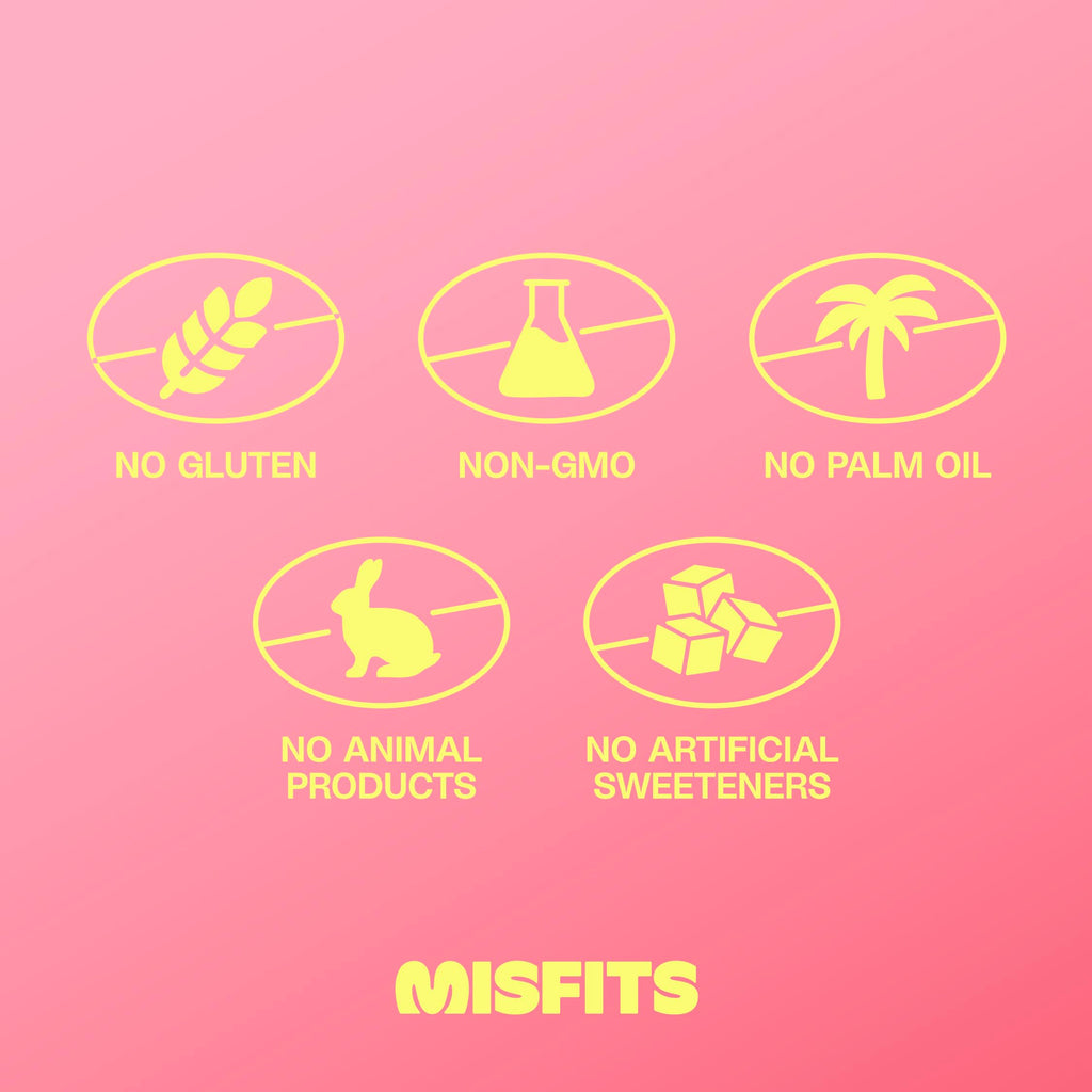 Misfits Vegan Protein Bars - Speculoos Cookie Butter | Nutrition Bars - 15g Protein, 1g Sugar, Plant-based, Low Carb, Non-GMO, Gluten Free Snacks | Pack of 12