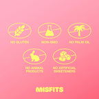 Misfits Vegan Protein Bars - Speculoos Cookie Butter | Nutrition Bars - 15g Protein, 1g Sugar, Plant-based, Low Carb, Non-GMO, Gluten Free Snacks | Pack of 12