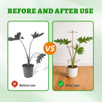 GOOOXIM 24 Inch Plant Stem Support Stakes for Monstera & Climbing Plants