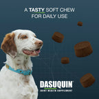 Nutramax Dasuquin MSM Joint Supplement, Small/Med Dogs, Soft Chews, 84ct