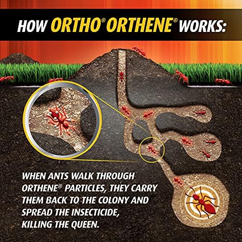 Ortho Orthene Fire Ant Killer1, Kills Queen, Destroys up to 162 Mounds, 12 oz. Dry Powder, Ant Poison Works in 60 Minutes (Pack of 2)