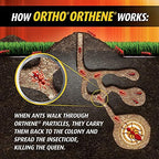 Ortho Orthene Fire Ant Killer1, Kills Queen, Destroys up to 162 Mounds, 12 oz. Dry Powder, Ant Poison Works in 60 Minutes (Pack of 2)